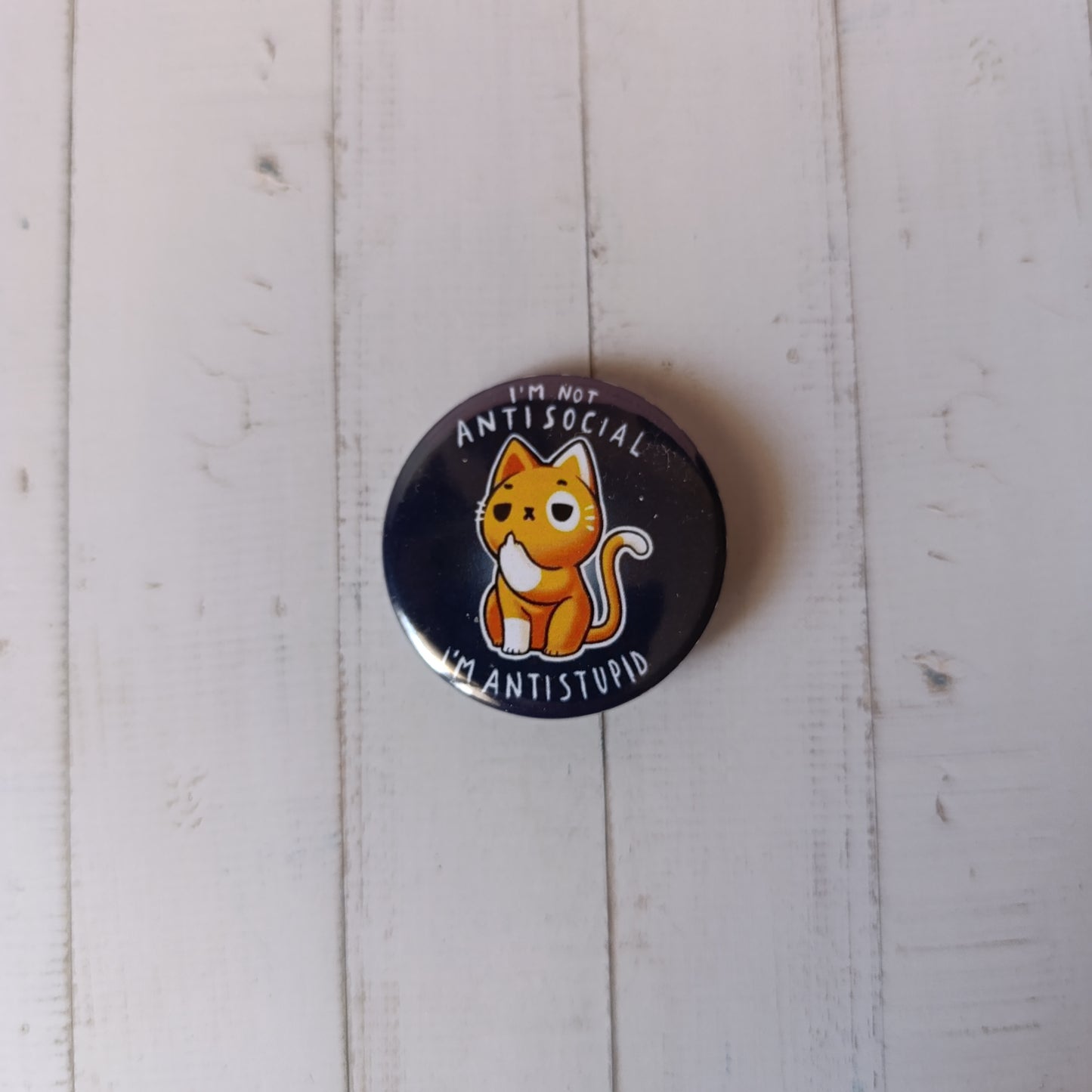 Chapa y Miau - Un toque felino para cambiar vidas.